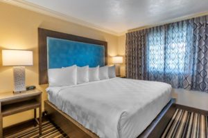 Guestroom 1 Bed